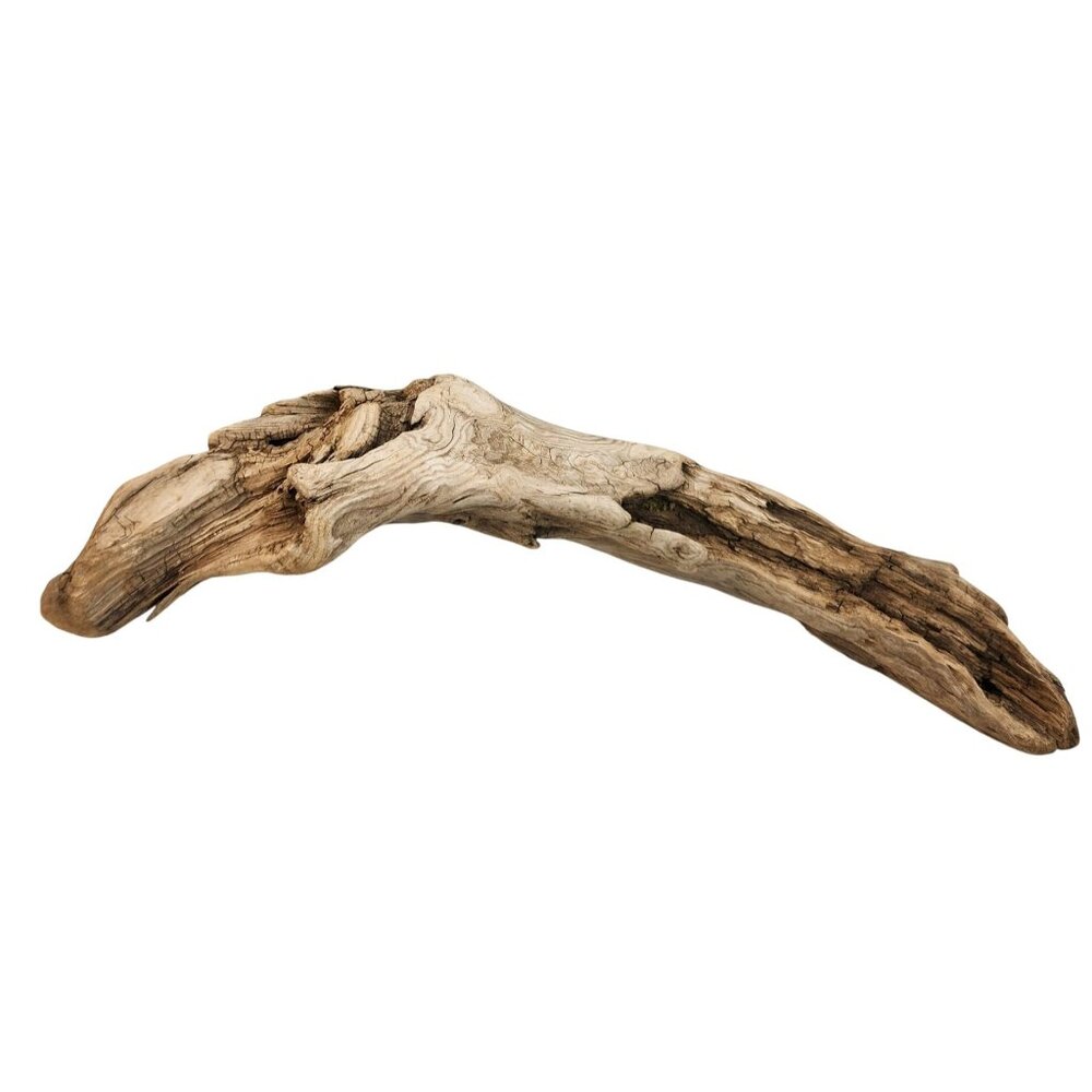 Natural Driftwood Decor Piece For Crafting Aquariums Reptile Tanks Or Rustic Dis